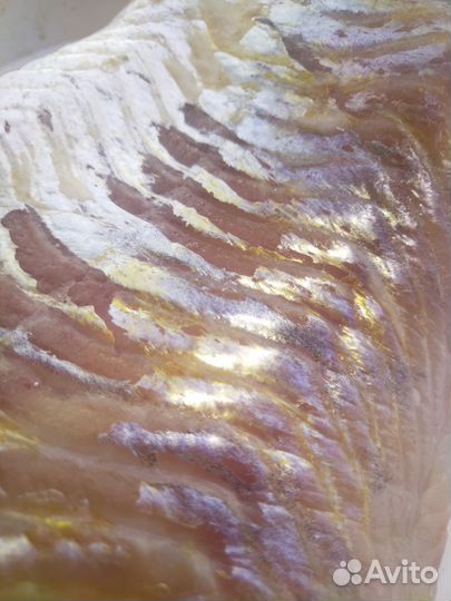 Филе судака