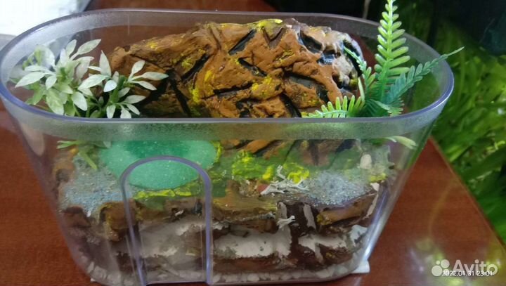 Формикарий