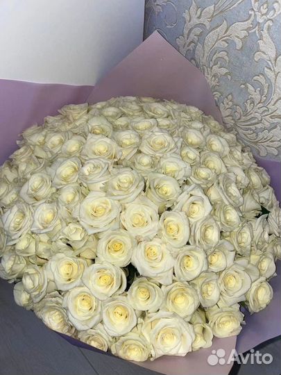 101роза, 201 роза, 301 роза, доставка бесплатная