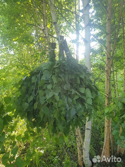 Продам банные веники