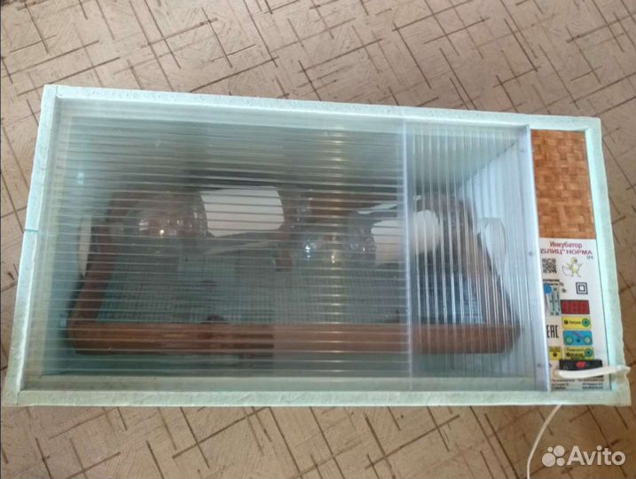 Инкубатор для яиц автоматический блиц