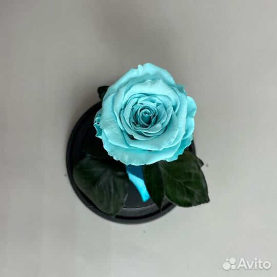 Стабилизированные розы в колбе