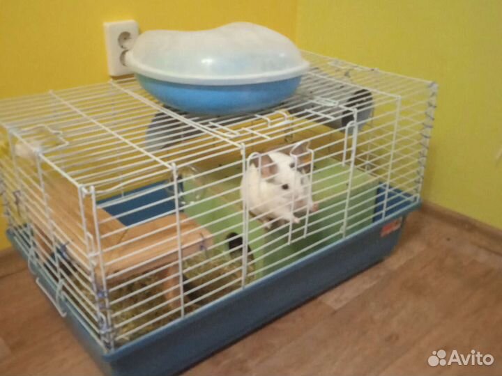 Клетка для кролика или шиншиллы