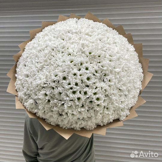 101 Хризантема, Букет Хризантем с Доставкой, Цветы