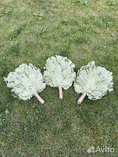 Веники для бани