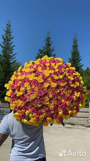 Букет из 301 розы с доставкой