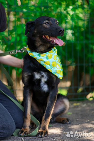 Вите надо выйти на остановке 