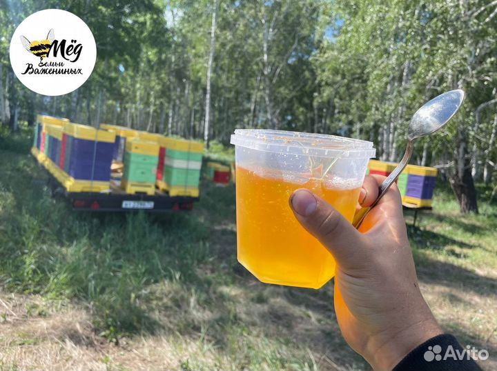 Мед свежий натуральный. Акация