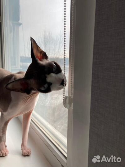 Рулонные шторы