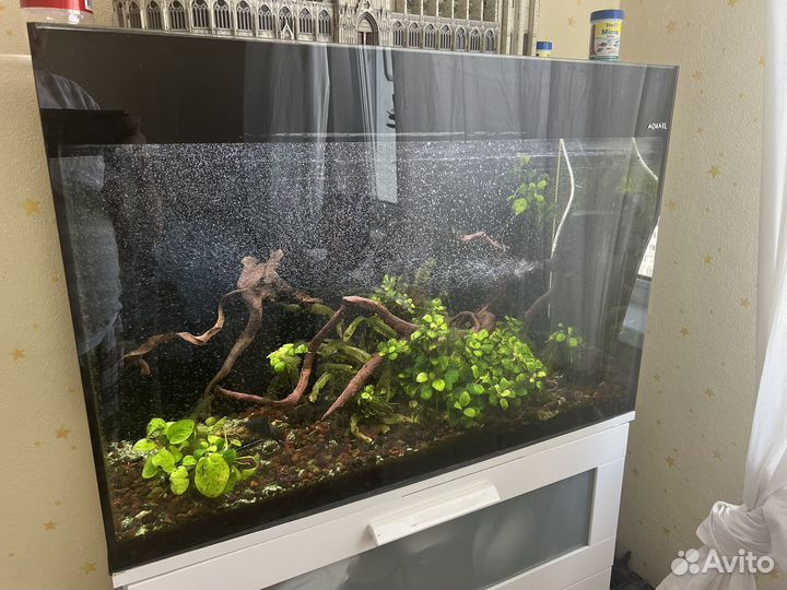 Aquael Glossy 80