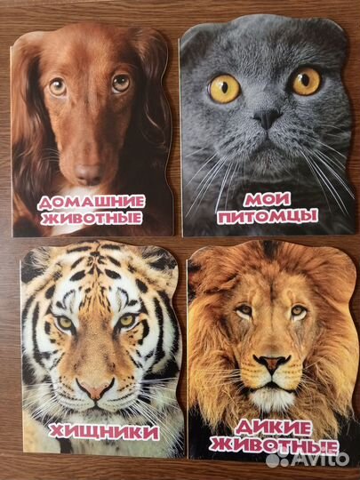 Книжки для малышей