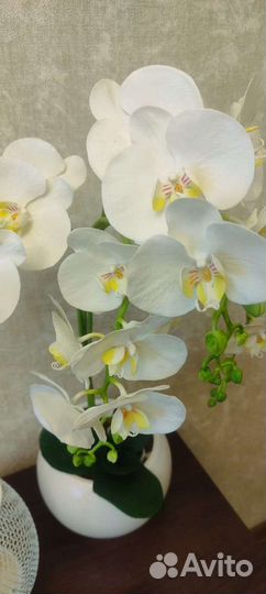Орхидея- холодный фарфор