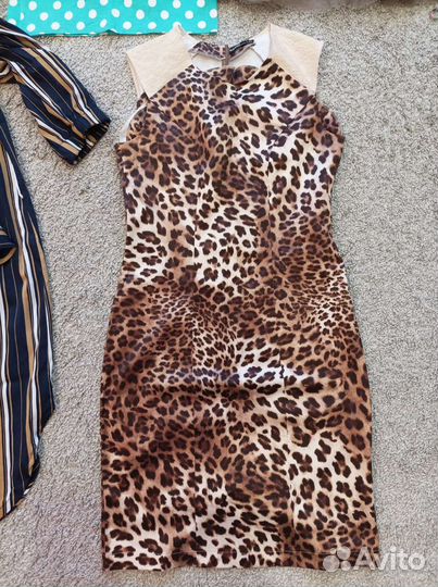 Женская одежда 42-44 бесплатно