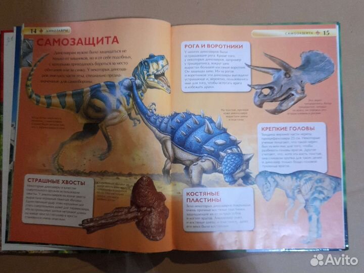 Динозавры энциклопедия детская