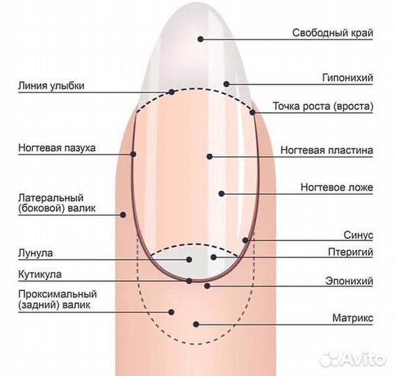 Обучение маникюру с нуля групповое обучение