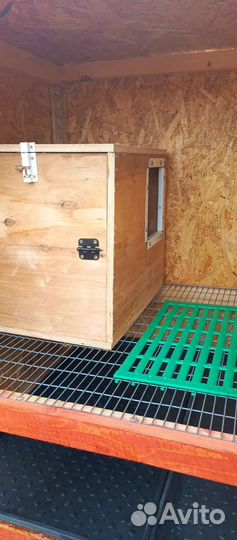 Клетки для кроликов