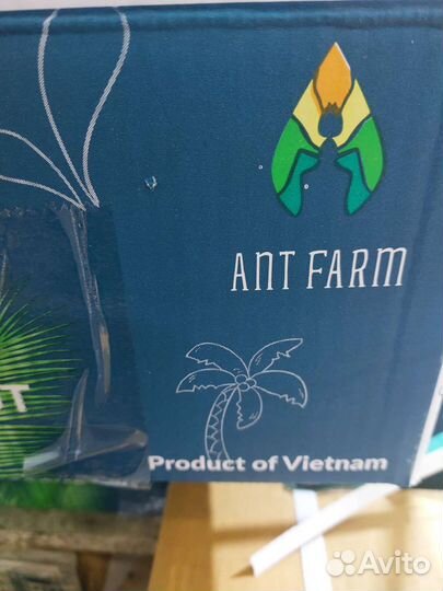 Кокос (Вьетнам)