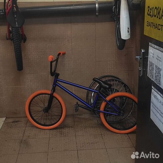 Agang wolf 2020 20.6