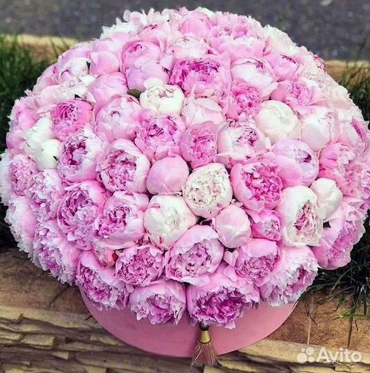 Пионы Букет