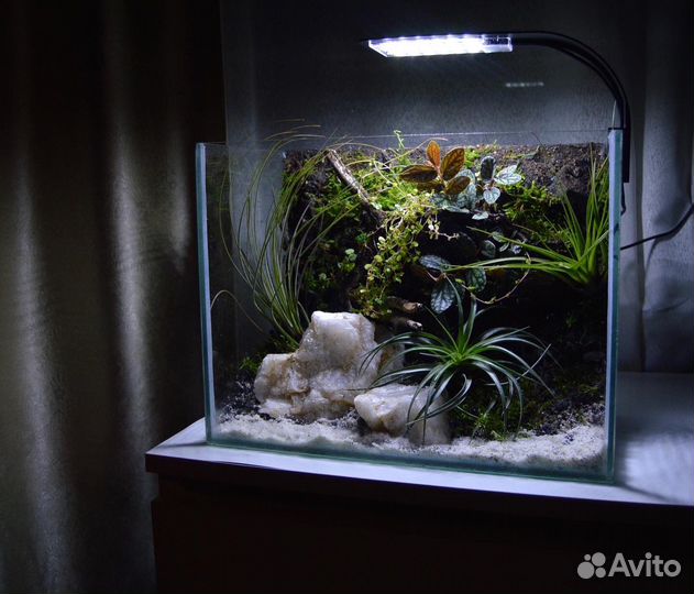 Террариум/флорариум