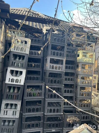 Пластиковые ящики б/у