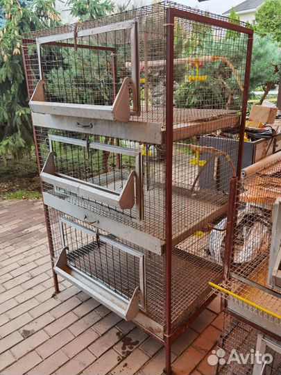 Клетки для перепелов, куриц и бройлеров бу