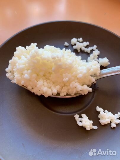 Тибетские молочные грибочки