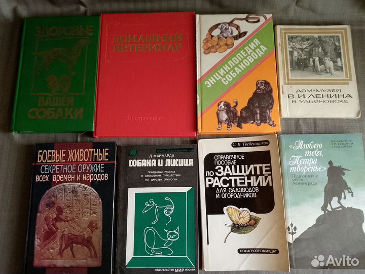 Много книг (часть 2)