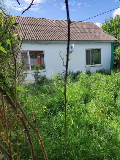 Дом 59,4 м² на участке 25 сот.