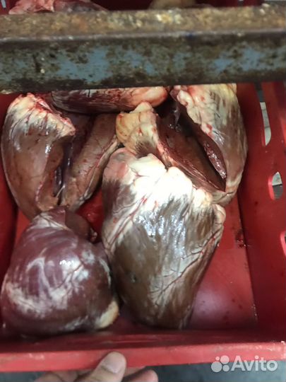 Мясо, субпродукты для собак и кошек