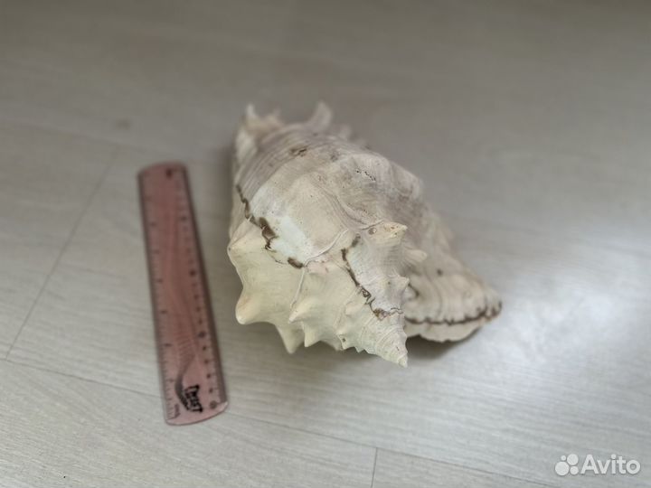Украшения для аквариума