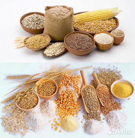 Разнорабочий