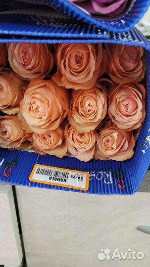 Розы оптом