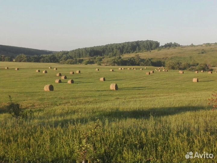 Продается солома
