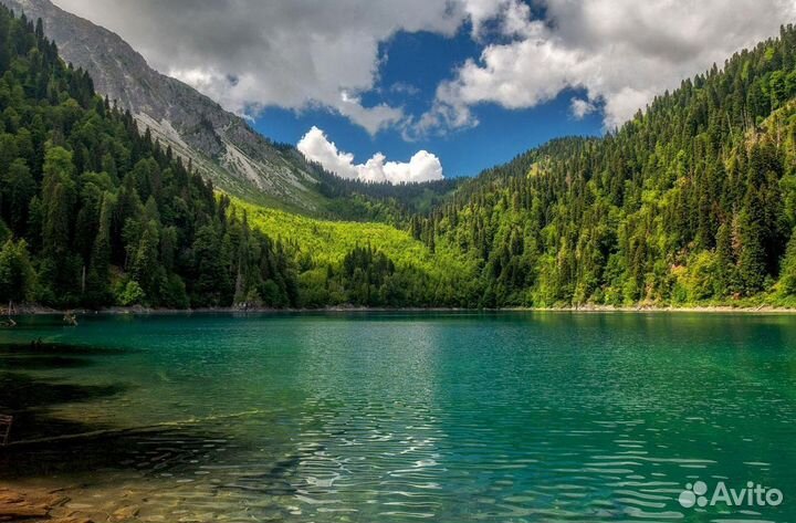 Индивидуальная экскурсия в Абхазию