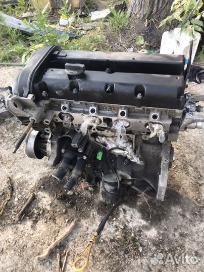 Двигатель ford focus 2 1.6