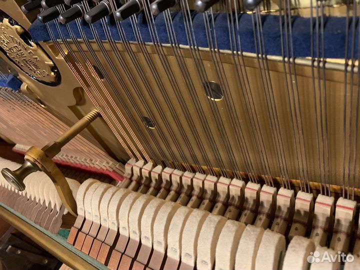 Пианино Bluthner