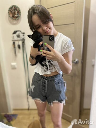 Передержка домашних животных