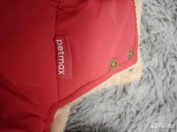 Одежда для собак