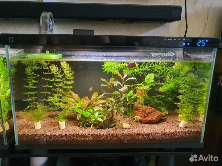 Умный аквариум Xiaomi Mijia SMART Fish Tank MYG100