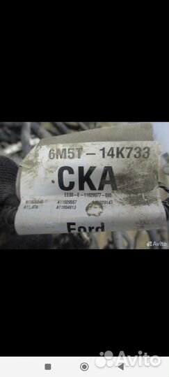 Проводка подкапотная Форд фокус 2