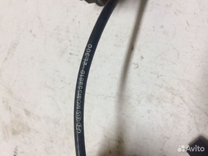 Датчик abs передний левый Hyundai Elantra