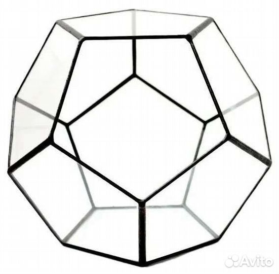 Флорариум с живым здоровым кактусом