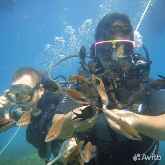 Экскурсии Геленджика