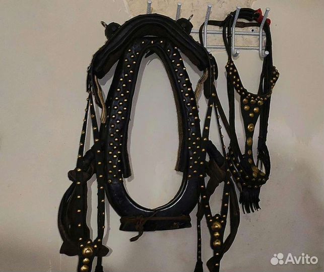 Сбруя 2 комплекта