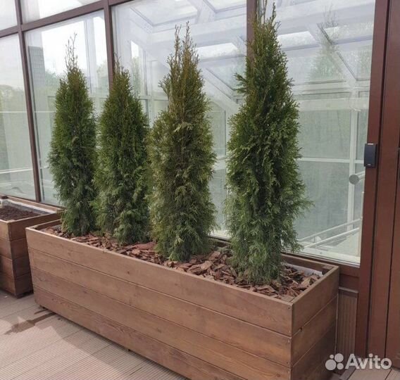 Ящик для уличных растений