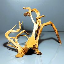 Коряга для аквариума паучий корень 22*15*22 вк33, Зеленоград
