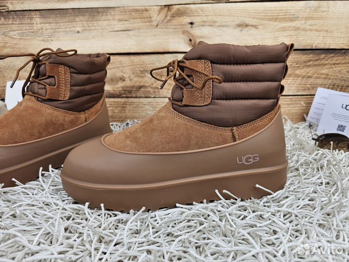 Ugg Classic Mini Lace-up Weather Chestnut оригинал