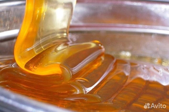 Мёд натуральный алтайский опт. min 16kg
