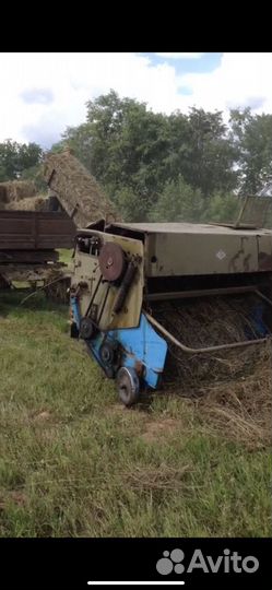 Продаю сено (кипы)